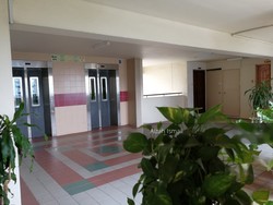 Blk 879 Woodlands Street 82 (Woodlands), HDB 5 Rooms #181992272
